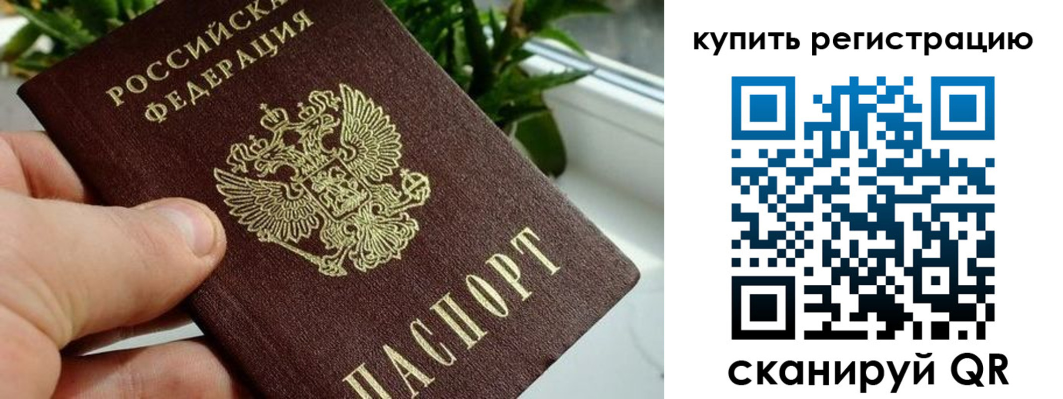 прописка гарантия в Крымске